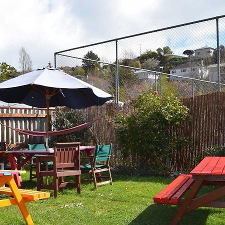 The Bug Backpackers Hostel Nelson Buitenkant foto