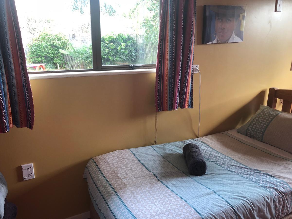 The Bug Backpackers Hostel Nelson Buitenkant foto