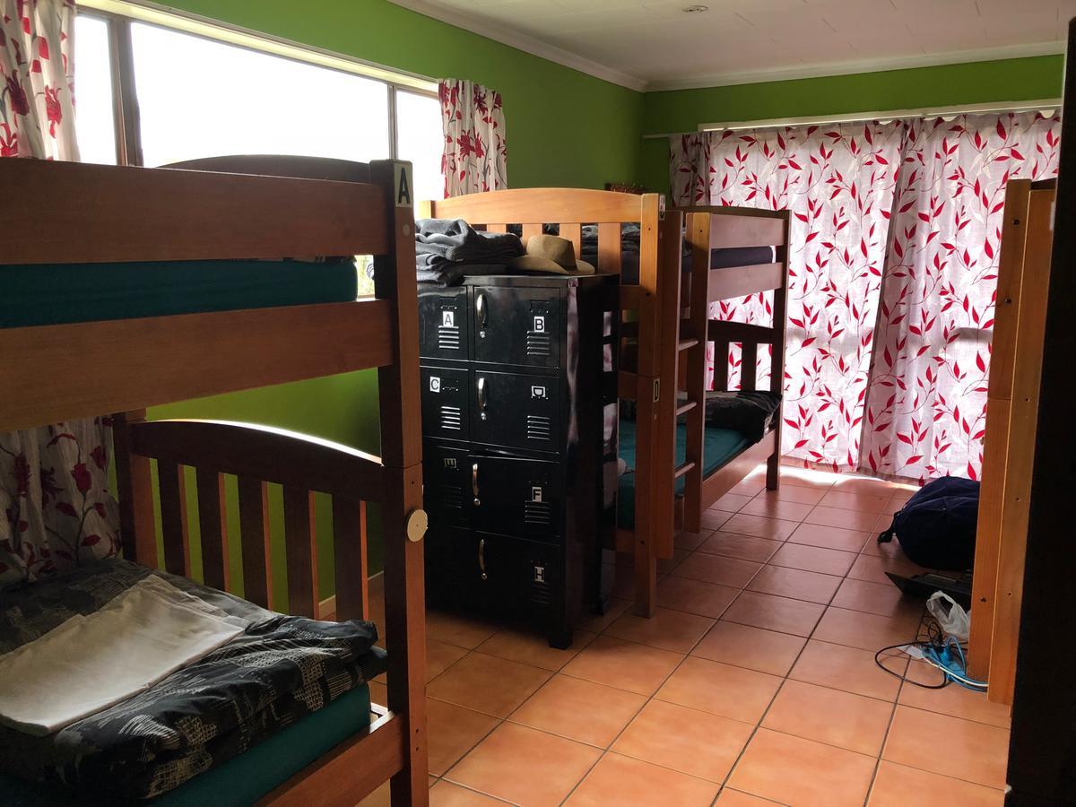 The Bug Backpackers Hostel Nelson Buitenkant foto
