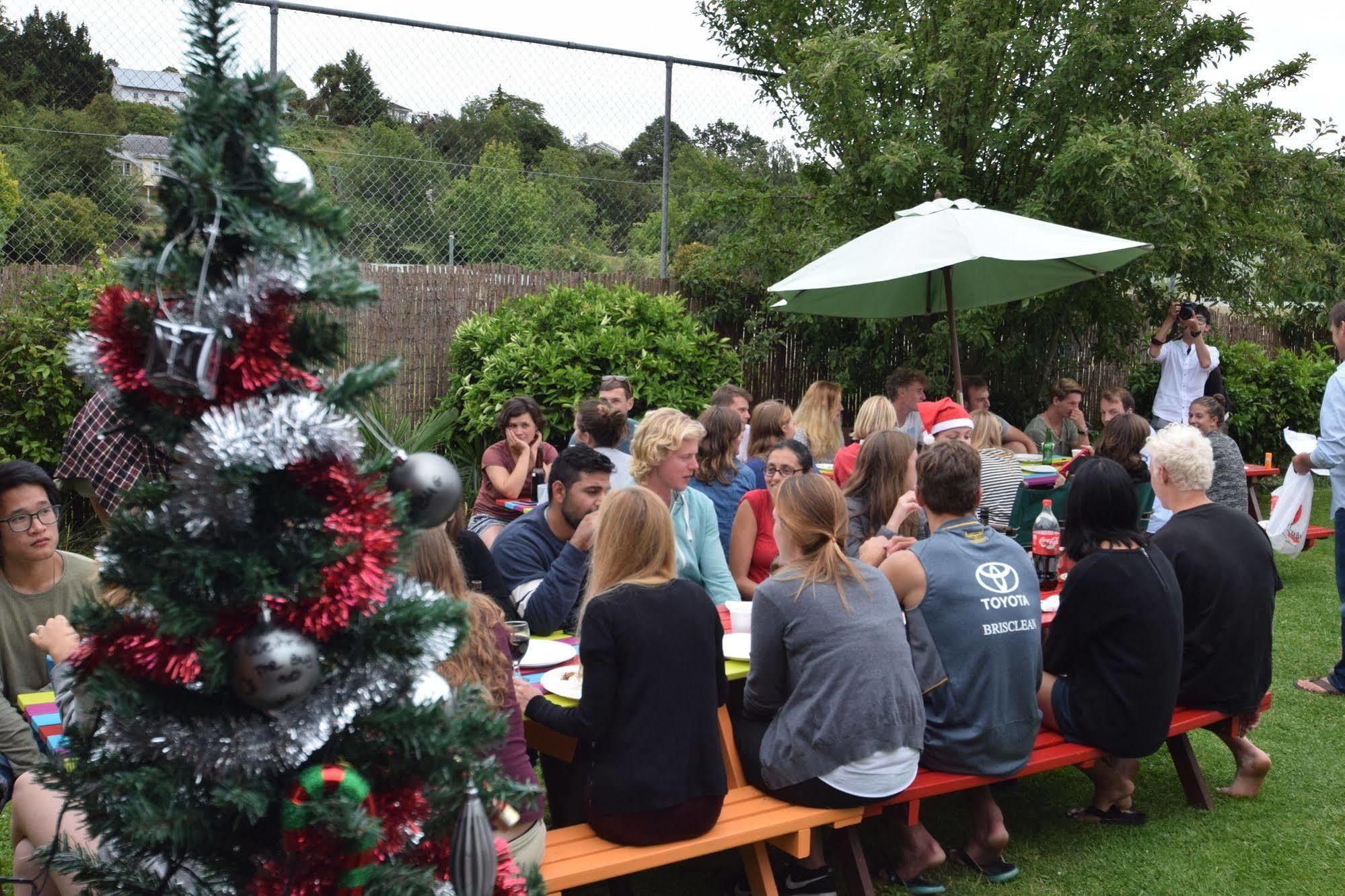 The Bug Backpackers Hostel Nelson Buitenkant foto