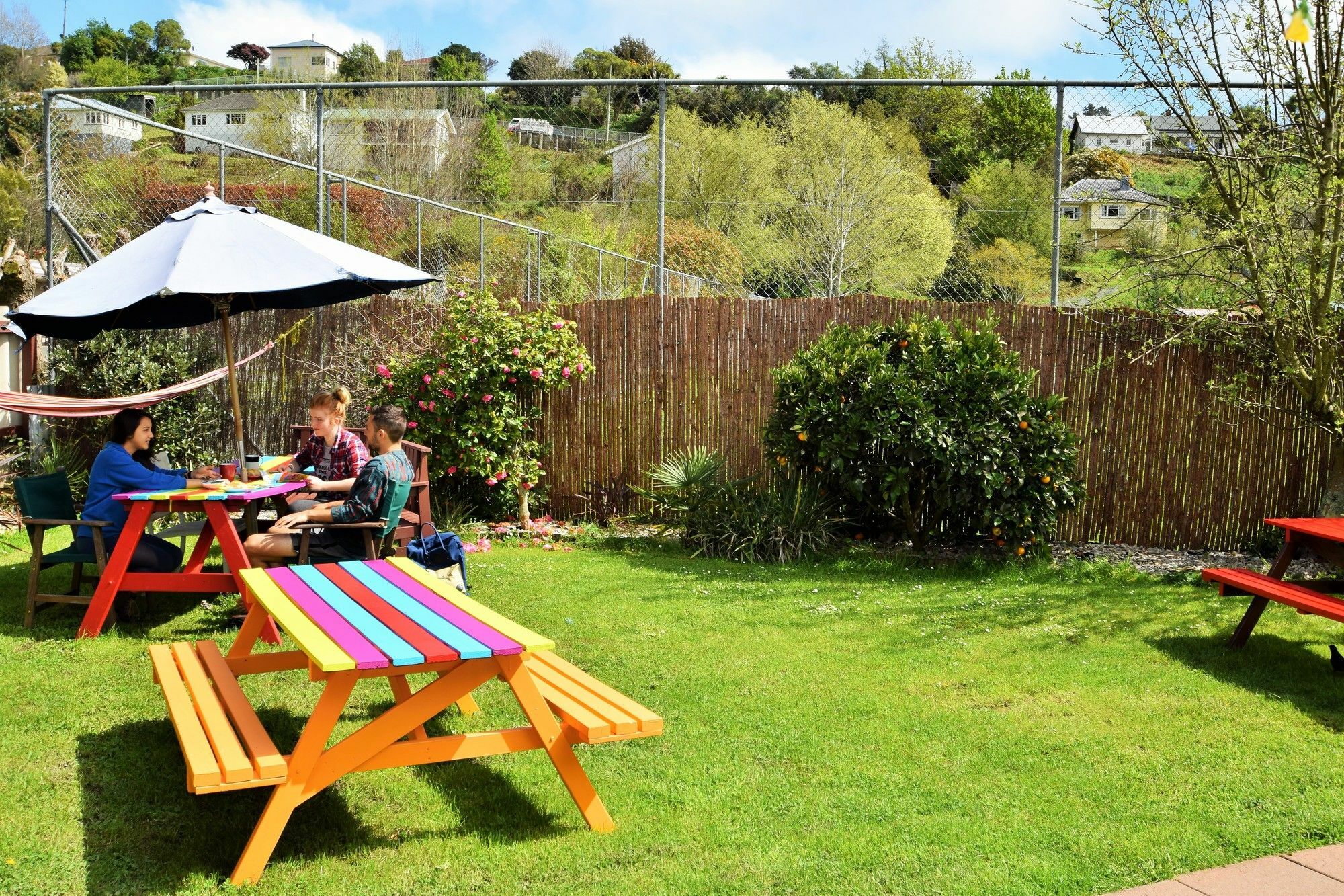 The Bug Backpackers Hostel Nelson Buitenkant foto